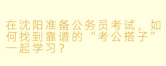 在沈阳准备公务员考试，如何找到靠谱的“考公搭子”一起学习？