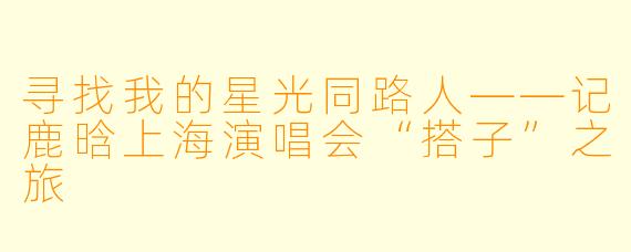 寻找我的星光同路人——记鹿晗上海演唱会“搭子”之旅