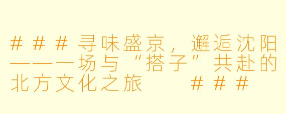 ###寻味盛京，邂逅沈阳——一场与“搭子”共赴的北方文化之旅

###