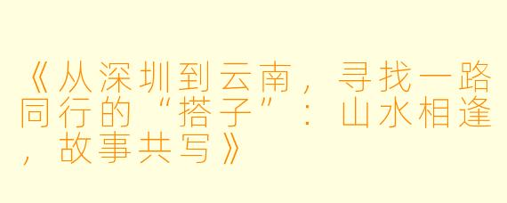 《从深圳到云南，寻找一路同行的“搭子”：山水相逢，故事共写》