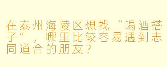 在泰州海陵区想找“喝酒搭子”，哪里比较容易遇到志同道合的朋友？
