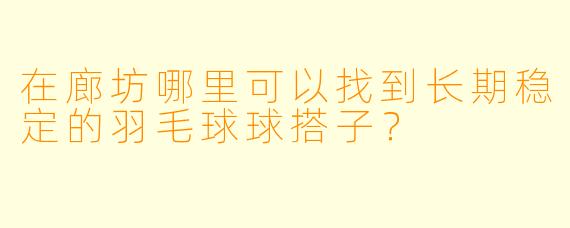 在廊坊哪里可以找到长期稳定的羽毛球球搭子？