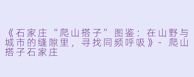 《石家庄“爬山搭子”图鉴：在山野与城市的缝隙里，寻找同频呼吸》-爬山搭子石家庄