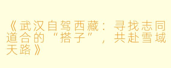 《武汉自驾西藏：寻找志同道合的“搭子”，共赴雪域天路》