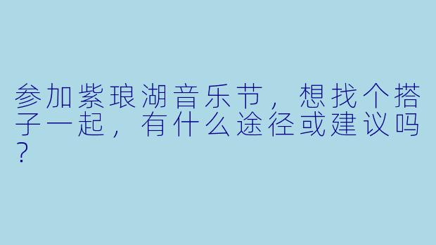 参加紫琅湖音乐节，想找个搭子一起，有什么途径或建议吗？