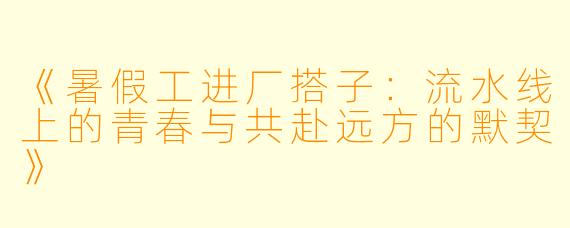 《暑假工进厂搭子：流水线上的青春与共赴远方的默契》