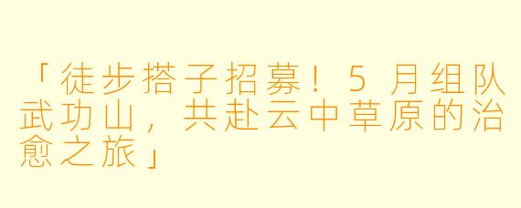 「徒步搭子招募！5月组队武功山，共赴云中草原的治愈之旅」