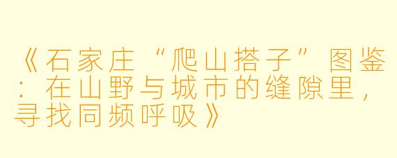 《石家庄“爬山搭子”图鉴：在山野与城市的缝隙里，寻找同频呼吸》