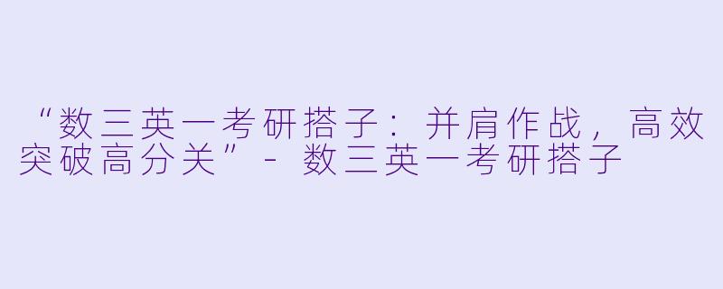 “数三英一考研搭子：并肩作战，高效突破高分关”-数三英一考研搭子