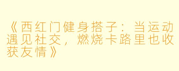 《西红门健身搭子：当运动遇见社交，燃烧卡路里也收获友情》