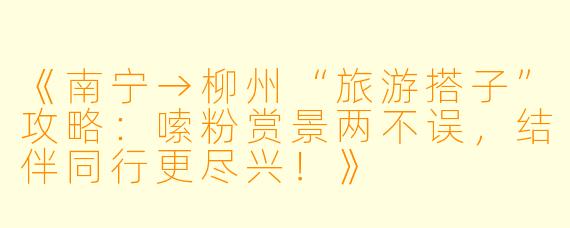 《南宁→柳州“旅游搭子”攻略：嗦粉赏景两不误，结伴同行更尽兴！》