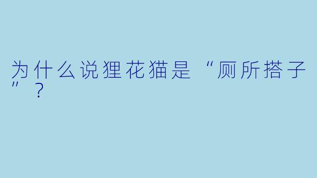 为什么说狸花猫是“厕所搭子”？