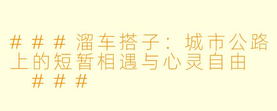 ###溜车搭子：城市公路上的短暂相遇与心灵自由

###