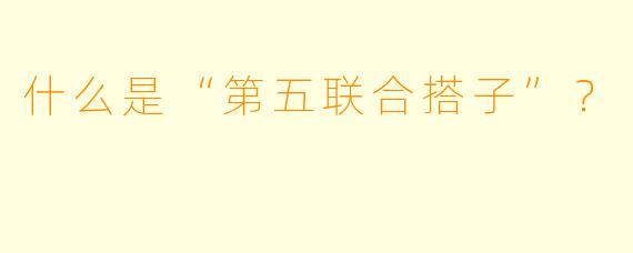 什么是“第五联合搭子”？