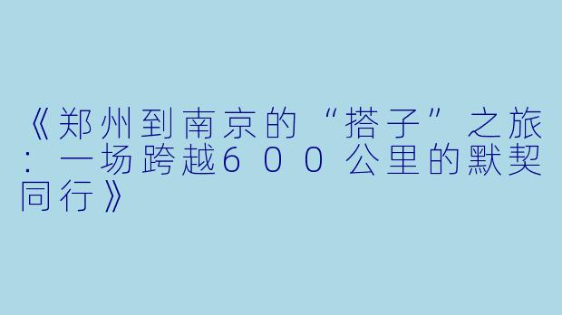 《郑州到南京的“搭子”之旅：一场跨越600公里的默契同行》