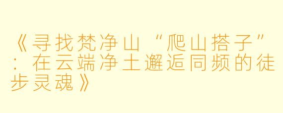 《寻找梵净山“爬山搭子”：在云端净土邂逅同频的徒步灵魂》