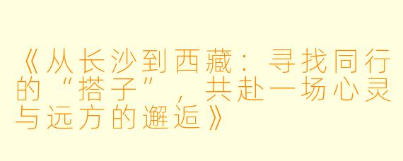 《从长沙到西藏：寻找同行的“搭子”，共赴一场心灵与远方的邂逅》