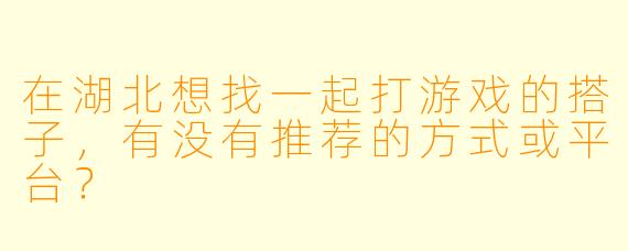 在湖北想找一起打游戏的搭子，有没有推荐的方式或平台？
