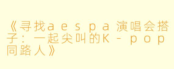 《寻找aespa演唱会搭子：一起尖叫的K-pop同路人》