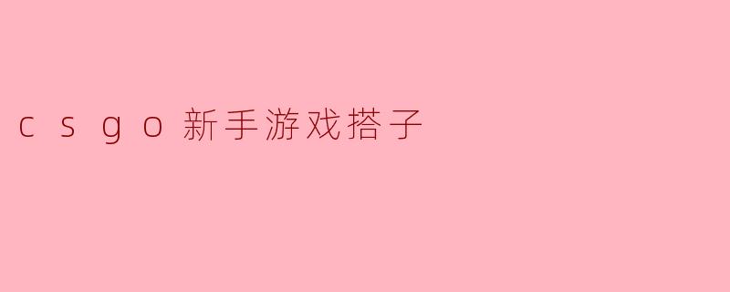 csgo新手游戏搭子