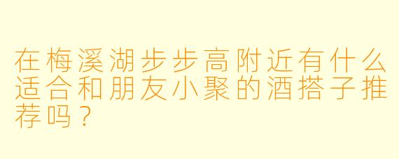 在梅溪湖步步高附近有什么适合和朋友小聚的酒搭子推荐吗？