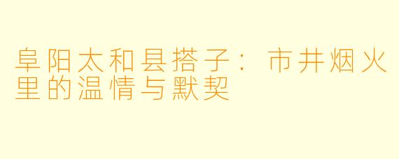 阜阳太和县搭子：市井烟火里的温情与默契