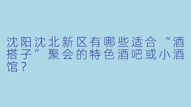 沈阳沈北新区有哪些适合“酒搭子”聚会的特色酒吧或小酒馆？