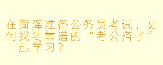 在菏泽准备公务员考试，如何找到靠谱的“考公搭子”一起学习？