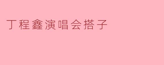 丁程鑫演唱会搭子