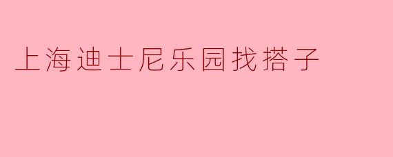 上海迪士尼乐园找搭子