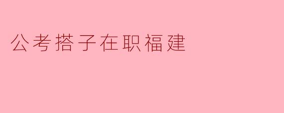 公考搭子在职福建