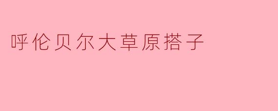 什么是“呼伦贝尔大草原搭子”?具体怎么玩?