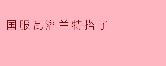 国服瓦洛兰特搭子
