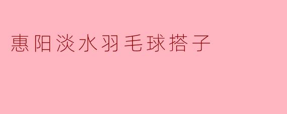 惠阳淡水羽毛球搭子