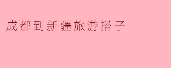 成都到新疆旅游搭子