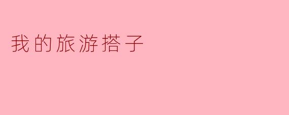 我的旅游搭子
