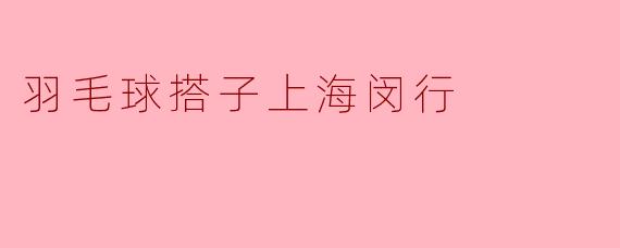 羽毛球搭子上海闵行