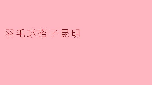 羽毛球搭子昆明