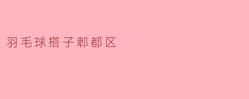 羽毛球搭子郫都区