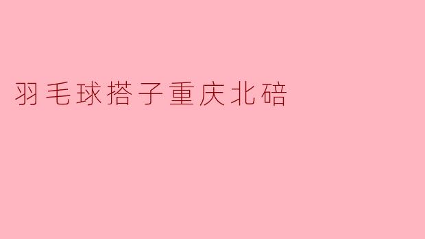 羽毛球搭子重庆北碚
