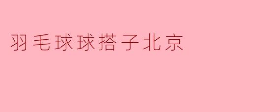 羽毛球球搭子北京