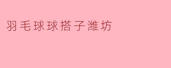 羽毛球球搭子潍坊
