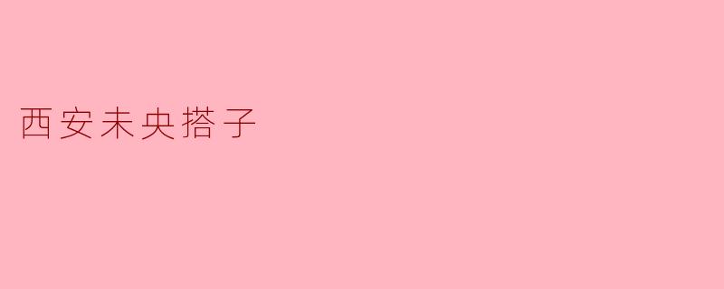 西安未央搭子