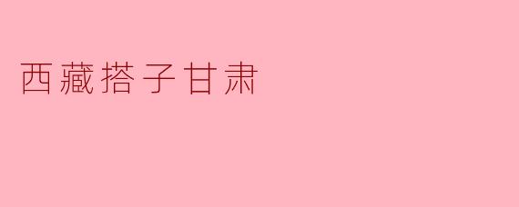 西藏搭子甘肃