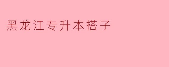“黑龙江专升本搭子：备考路上的同行者与成长伙伴”