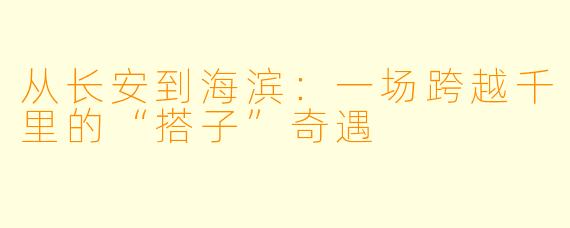 从长安到海滨：一场跨越千里的“搭子”奇遇