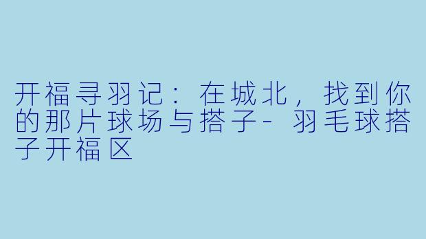 开福寻羽记：在城北，找到你的那片球场与搭子-羽毛球搭子开福区