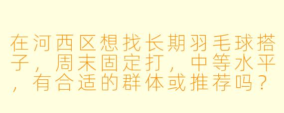 在河西区想找长期羽毛球搭子，周末固定打，中等水平，有合适的群体或推荐吗？