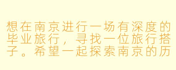 想在南京进行一场有深度的毕业旅行，寻找一位旅行搭子。希望一起探索南京的历史文化景点（如博物院、明孝陵），也想去文艺小巷打卡，偶尔晚上逛逛夜市。行程4天左右，偏好公共交通和步行，住宿分摊。要求搭子性格随和、守时，对历史或摄影有兴趣更佳。请问如何找到合适的搭子？有哪些注意事项？