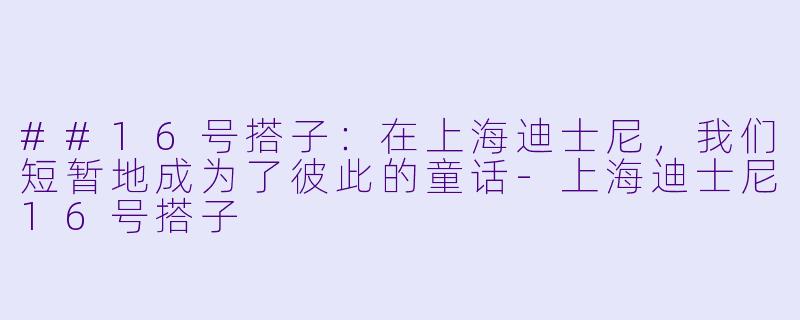 ##16号搭子：在上海迪士尼，我们短暂地成为了彼此的童话-上海迪士尼16号搭子